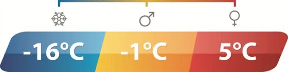 Outwell Camper Lux Double Sleeping Bag - Forest Green (2023) Outwell Camper Lux Double Sleeping Bag - Forest Green (2023) -Outdoor Camping Store